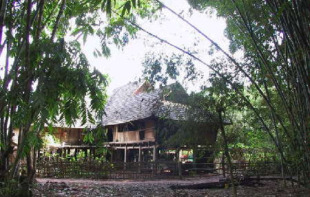 Bamboo, a symbol of traditional Chinese values