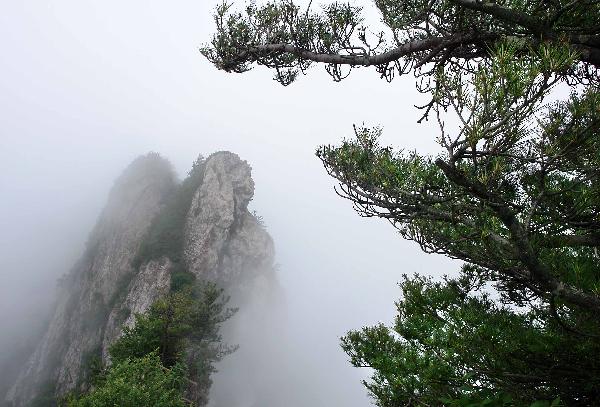 Laojunshan Mountain shrouded by fog in China's Henan