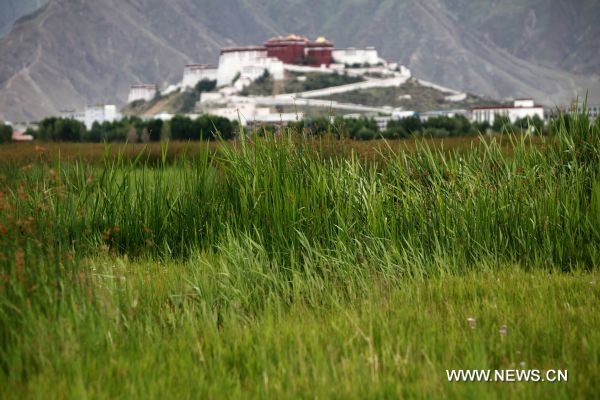 Lhalu wetland in Lhasa