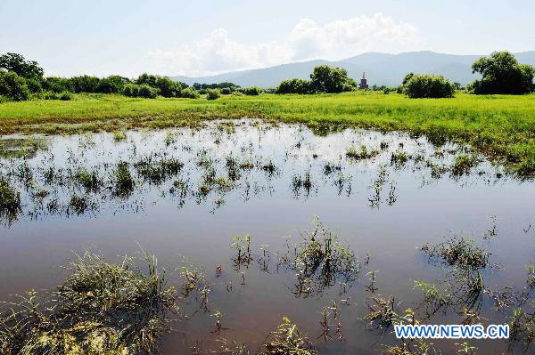 Amazing landscape of Heixiazi Island, NE China