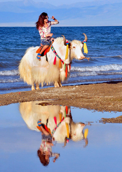 Romancing in Qinghai Lake