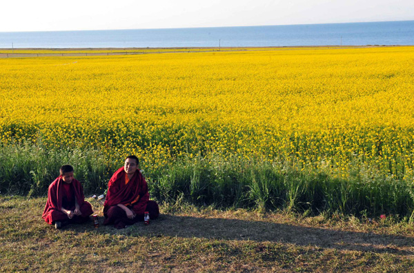 Romancing in Qinghai Lake