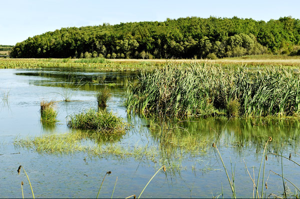 Wudalianchi Geological Park in China's Heilongjiang