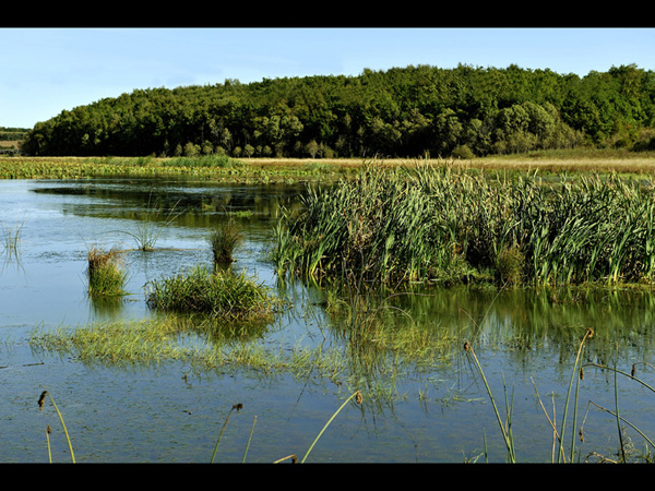 Wudalianchi Geological Park in China's Heilongjiang