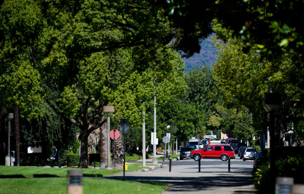 Art-like campus of the world's best university