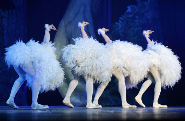 Acrobatic Swan Lake