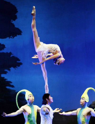 Acrobatic Swan Lake