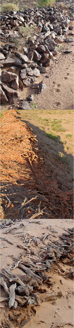 Finding Genghis Khan's Wall