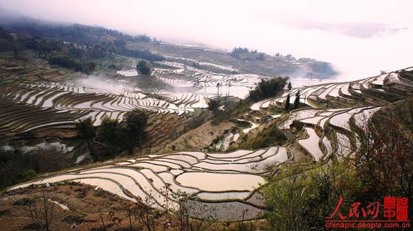 Breathtaking Yuanyang Terrace, Yunnan