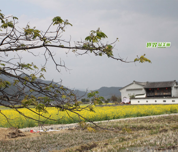 Discover a border county - Tengchong