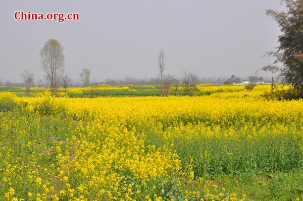 Spring scenery in Mianzhu, Scihuan