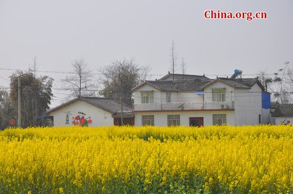 Spring scenery in Mianzhu, Scihuan