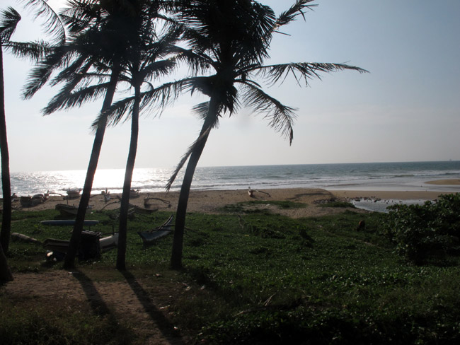 Relaxing train experience in Sri Lanka