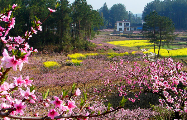 Hongcun exudes ancient flavor