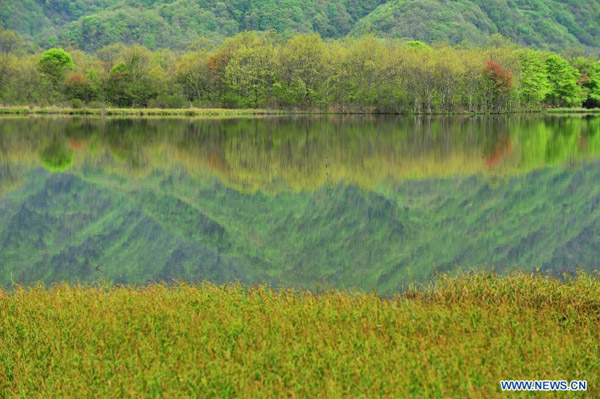 Scenery of Dajiuhu Wetland in Shennongjia