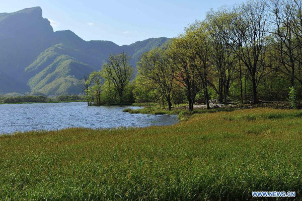 Scenery of Dajiuhu Wetland in Shennongjia