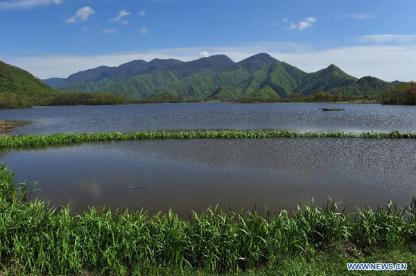 Scenery of Dajiuhu Wetland in Shennongjia