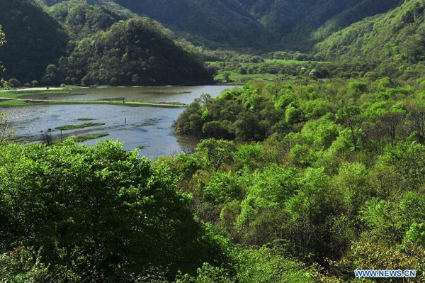 Scenery of Dajiuhu Wetland in Shennongjia