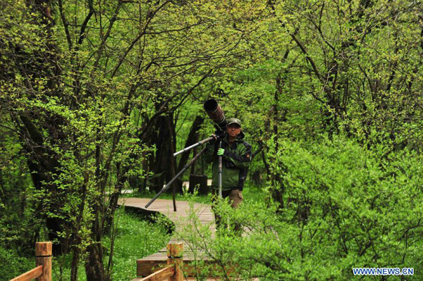 Scenery of Dajiuhu Wetland in Shennongjia