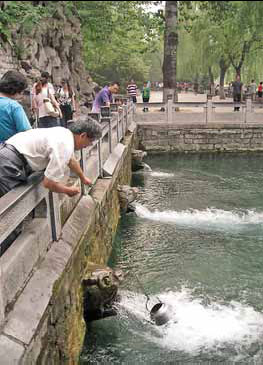 Legacy of Jinan's springs