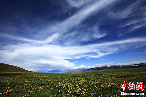 Sayram Lake in the threshold of summer