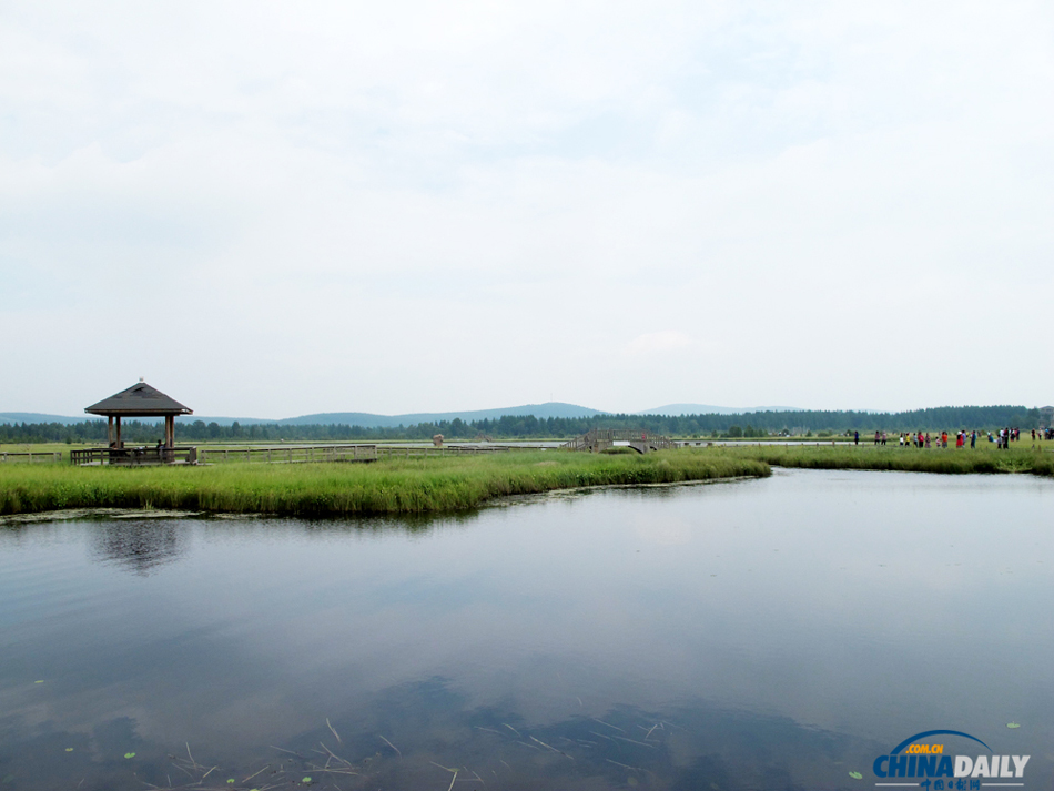 Picturesque view of Saihanba