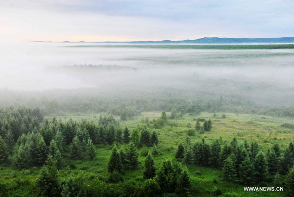 Scenery of Wuyiling Wetlands Natural Reserve in NE China