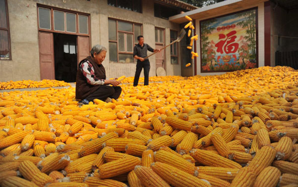 Good harvest in North China