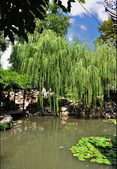 Amazing Liuyuan Garden in Suzhou