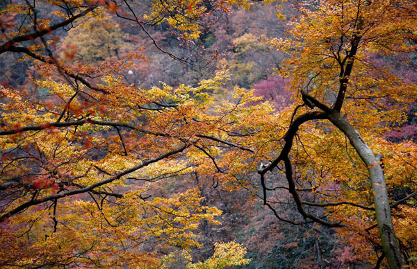 Autumn scenery of Guangwu Mountain in Nanjiang, China's Sichuan province