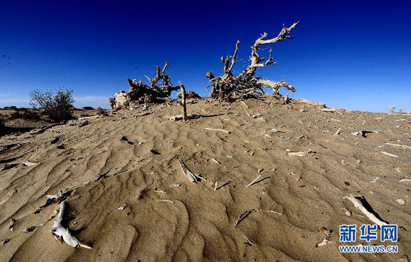 Late autumn scenes in Qinghai