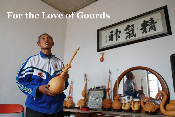 For the love of gourds
