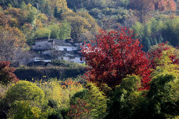 Scenery of Tachuan village, China's Anhui