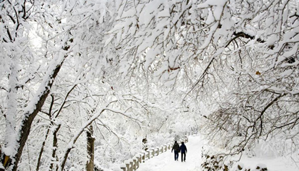 Heavy snowstorms hit NE China's Heilongjiang