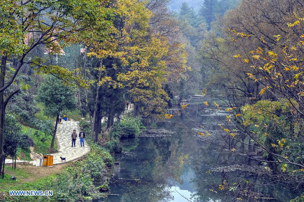 Scenery in Xiaochehe wetland of Guiyang