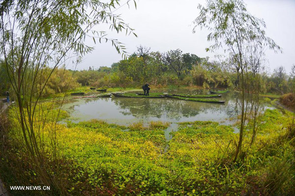 West Lake Int'l sculpture exhibition opens in Hangzhou