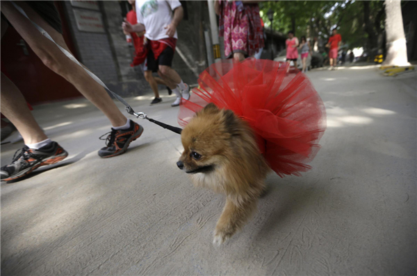 Red Dress Run in Beijing for fun