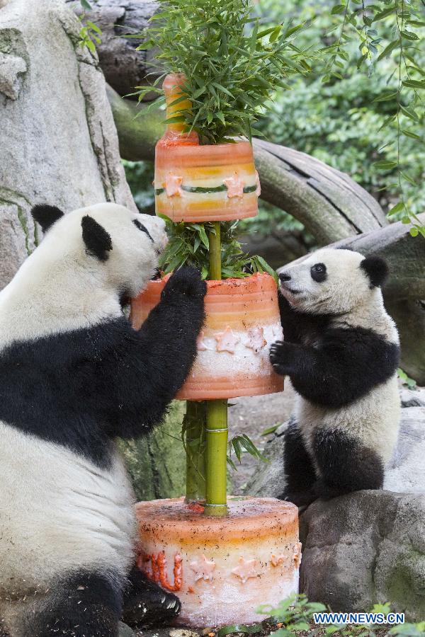 Giant panda cub celebrates 1st birthday in California