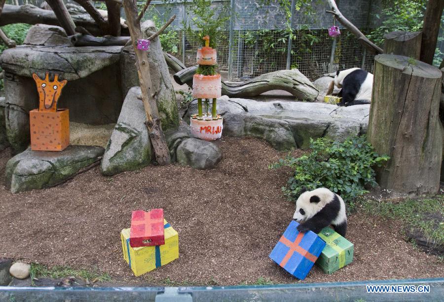 Giant panda cub celebrates 1st birthday in California