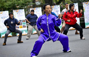 Hebei to host acrobatic festival