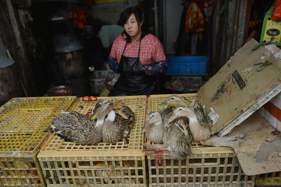 Bird flu slows poultry market