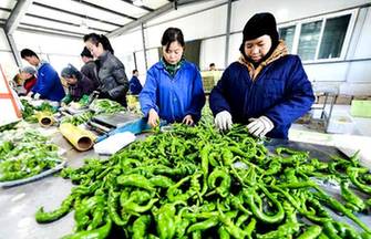 Shopping for Lunar New Year