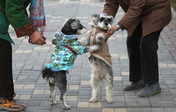 Winter in Beijing