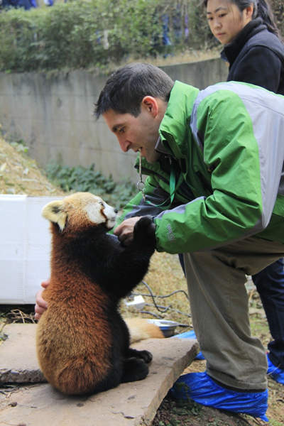 Playing with pandas