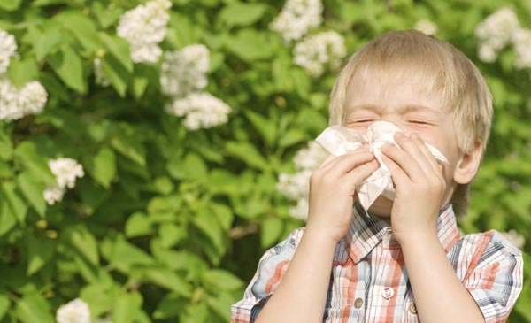 Hay fever rises with spring season