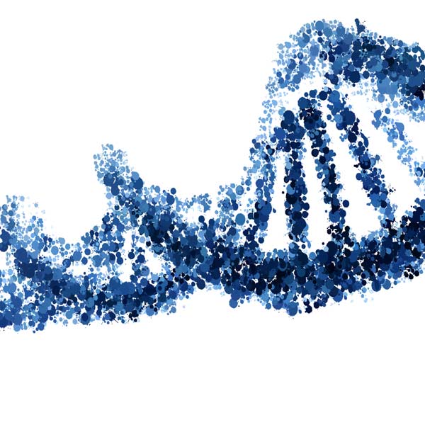 Chinese scientists make chromatin breakthrough