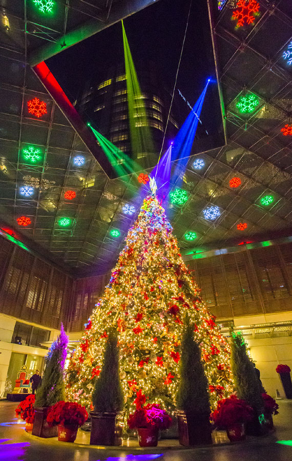 Children of Beijing's Sun Village attend Christmas Tree Lighting Ceremony