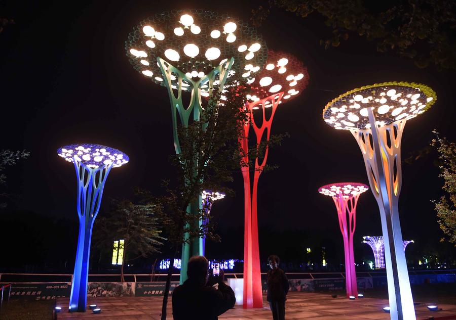 LED light show seen at Beijing int'l Camping Park