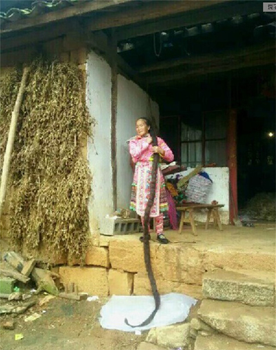 Woman with 2.52-meter-long hair aims at Guinness record