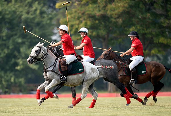 Seeking a polo position in growing sports market[5]- Chinadaily.com.cn